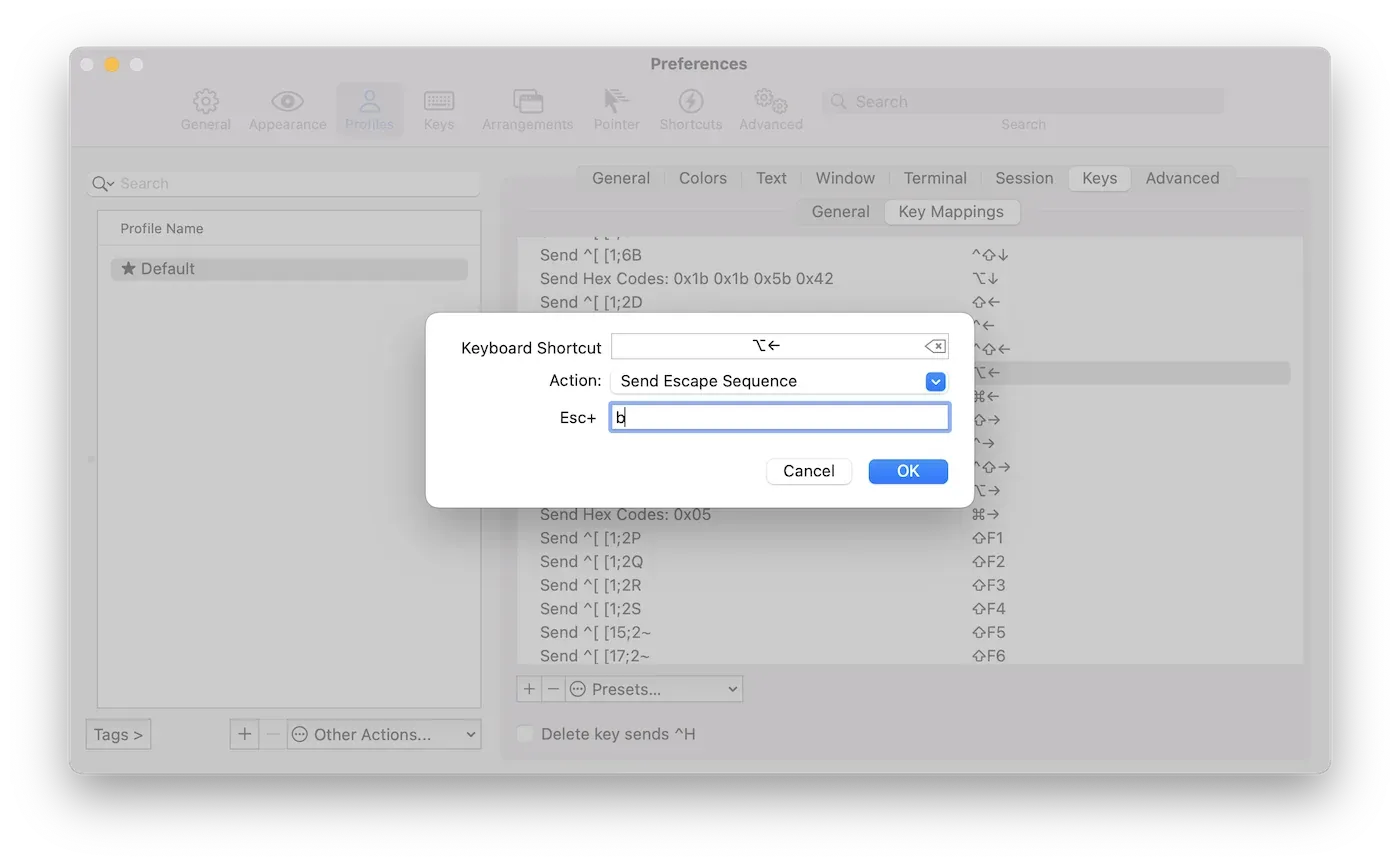 iTerm2 Preferences: dialog for editing a key mapping