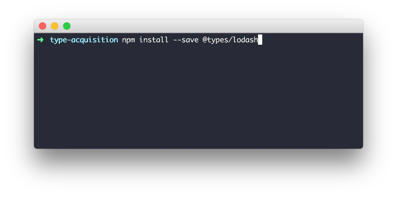 npm install --save @types/lodash