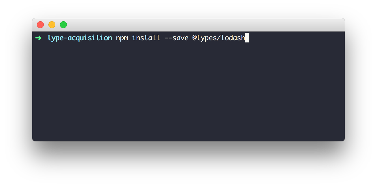 npm install --save @types/lodash